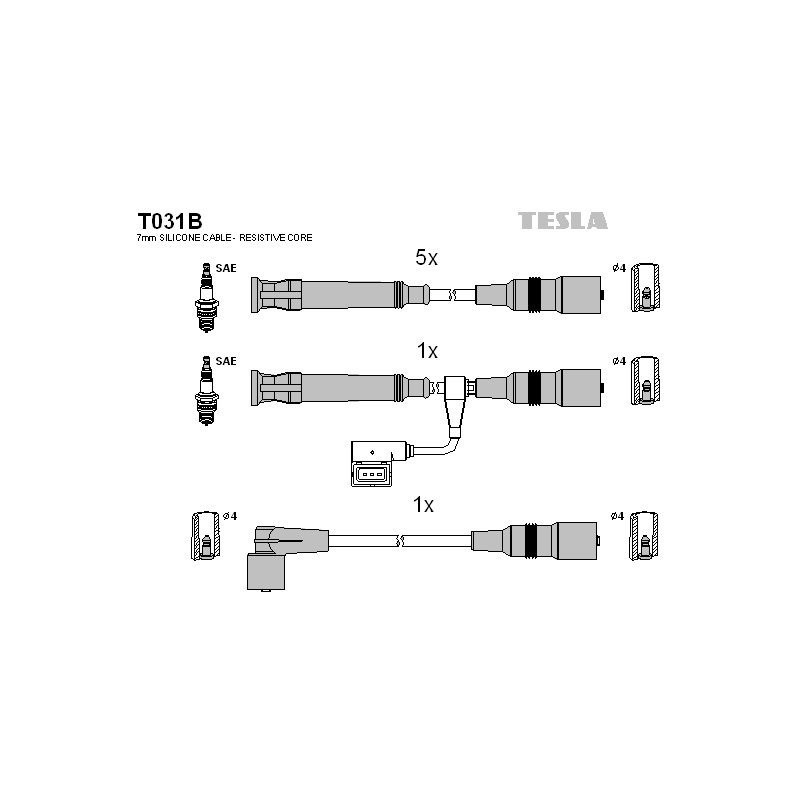 T031B-TESLA