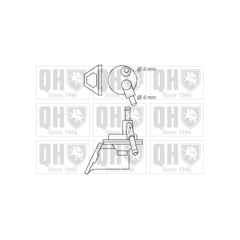 QFP6