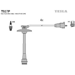 T927P-TESLA