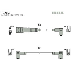 T920C-TESLA