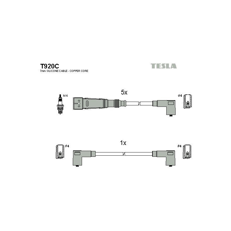 T920C-TESLA