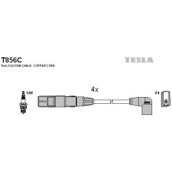 T856C-TESLA