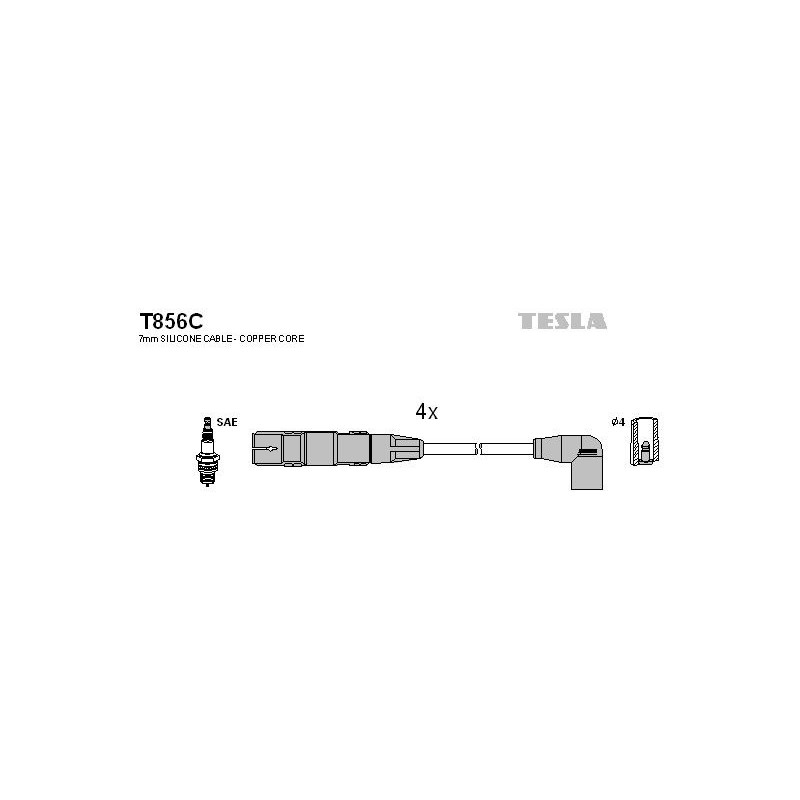 T856C-TESLA