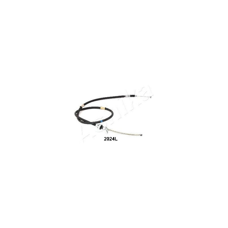 131-02-2024L