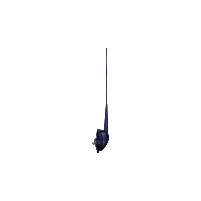 BRT523