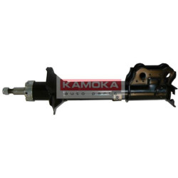 20632452-KAM