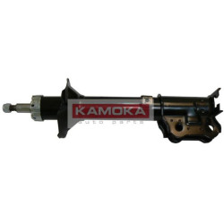 20632451-KAM