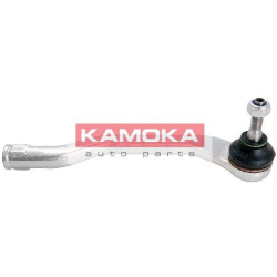 990011-KAM