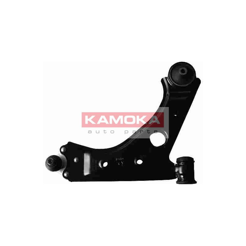 999879-KAM