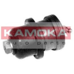 9991080-KAM
