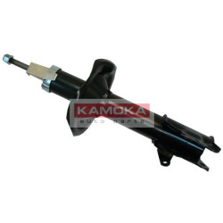 20334665-KAM