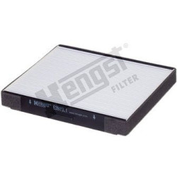Filtras salono