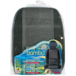 54355-LAMPA