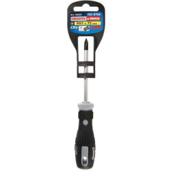 Atsuktuvas PH1x75mm