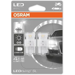 Lemputė LED COOL WHITE