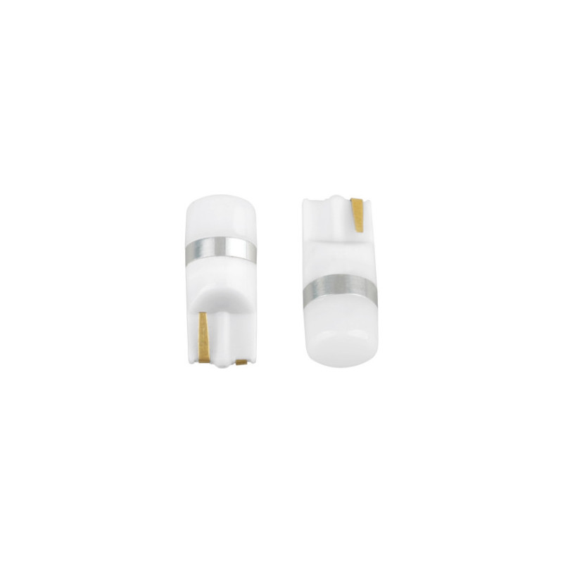 Lemputė 2 SMD T10 W5W 12V/24V