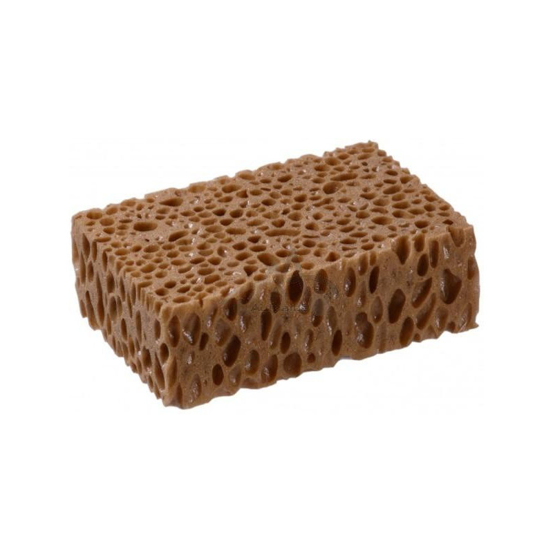 54