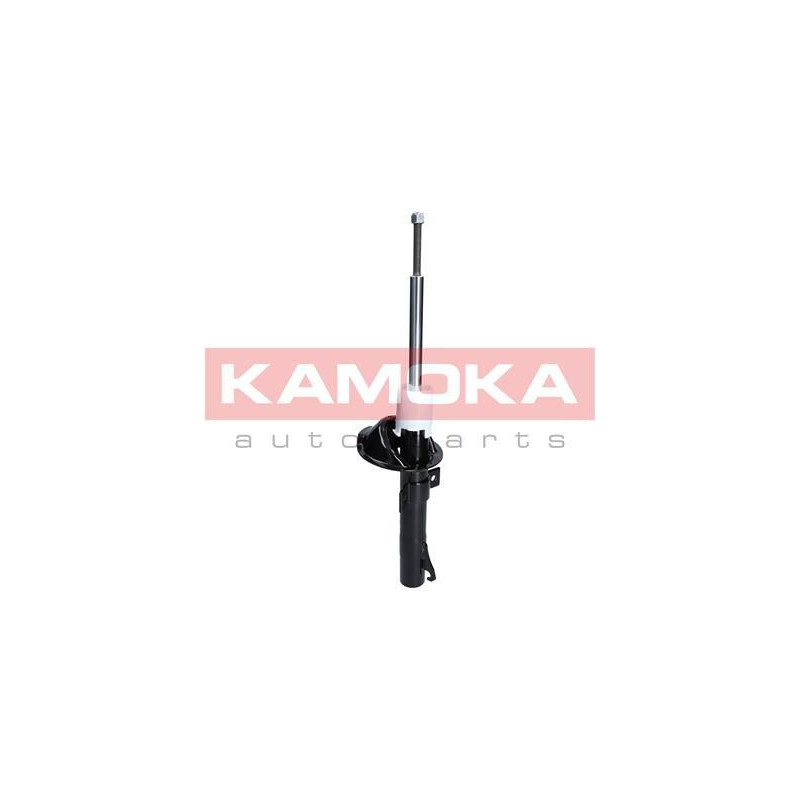 Amortizatorius