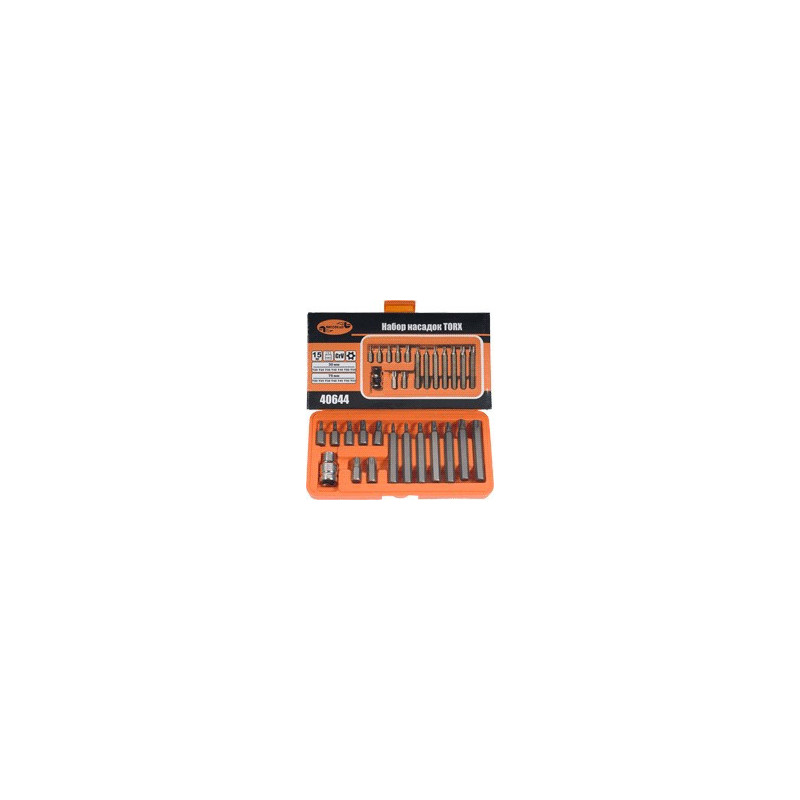 Antgaliai TORX*15