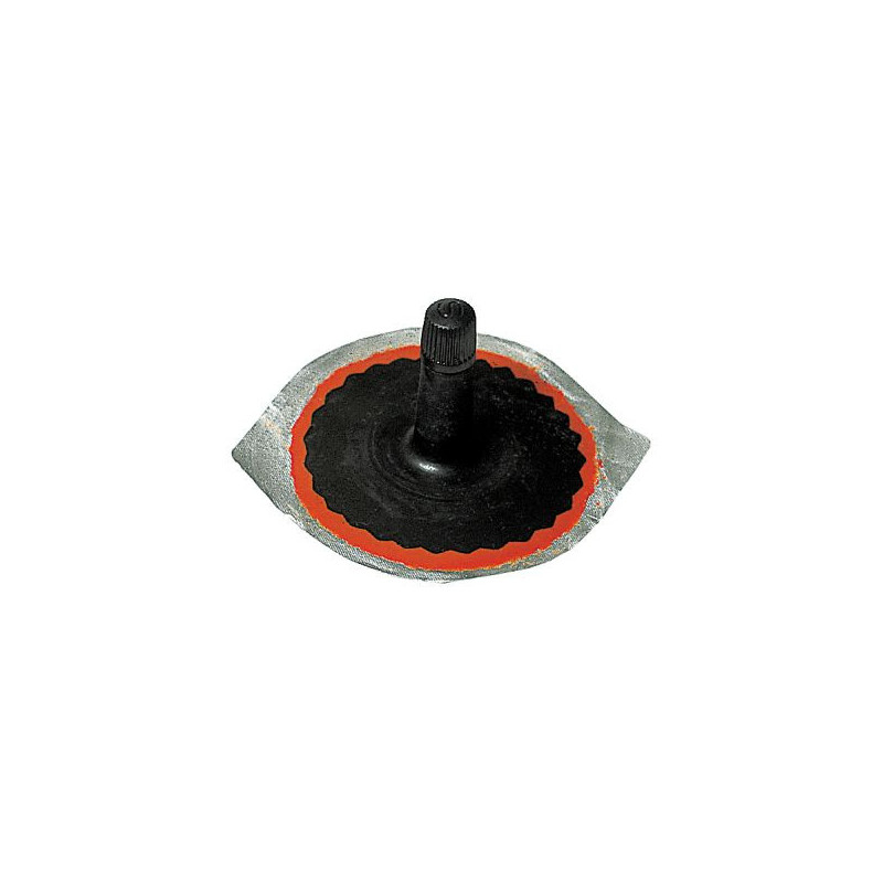Lopas su ventiliu TR13 1x10