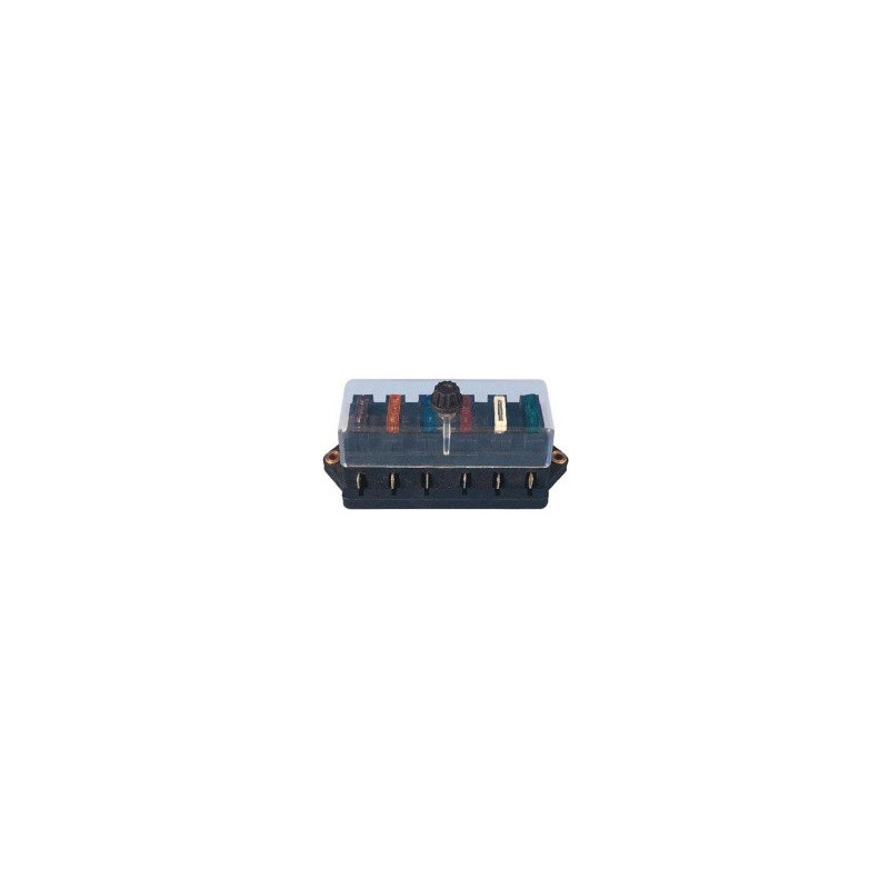 SA.PL.D6