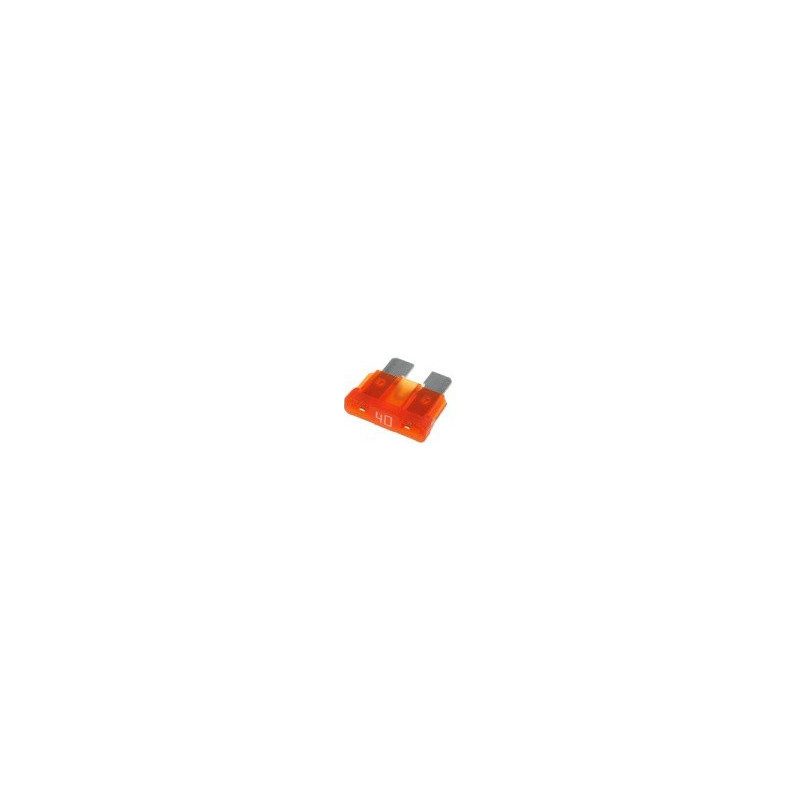 SAUG.40