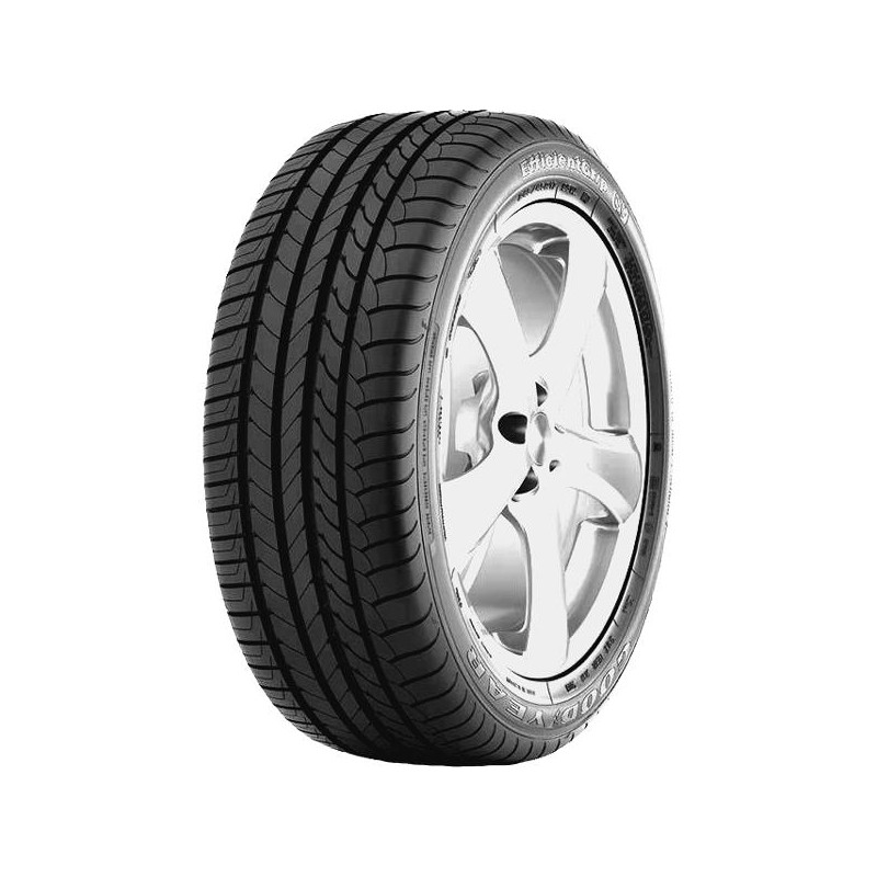 255/45R20 GOODYEAR EFFICIENTGRIP 101Y RunFlat (*) FP RunFlat DBB70