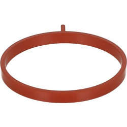 Tarpinė įsiurbimo kolektoriaus