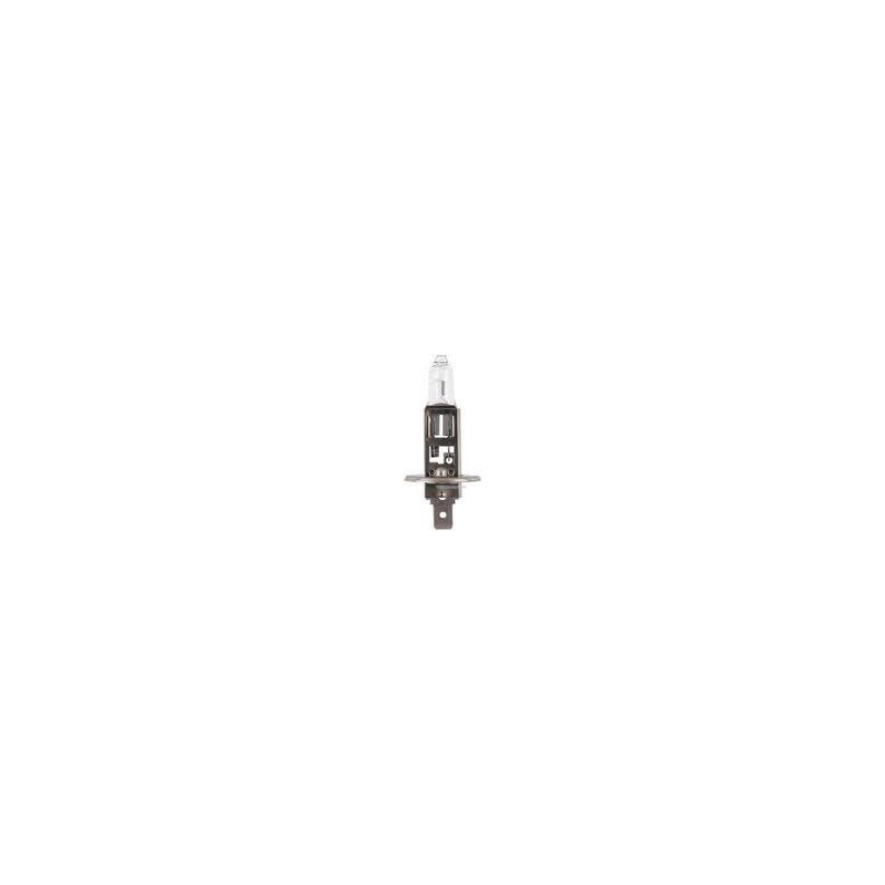 48380L-NAR