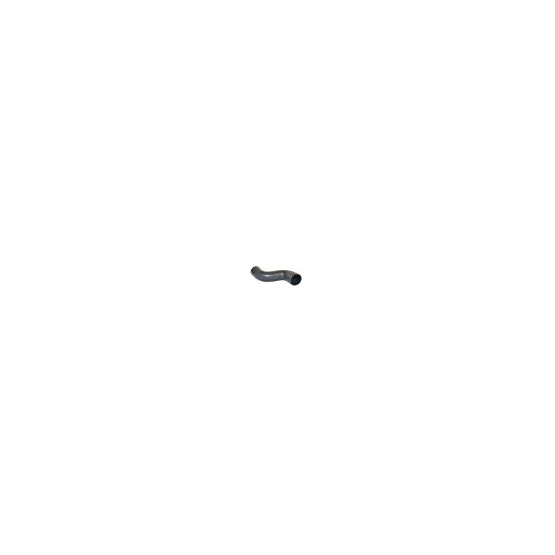 81636-BUG