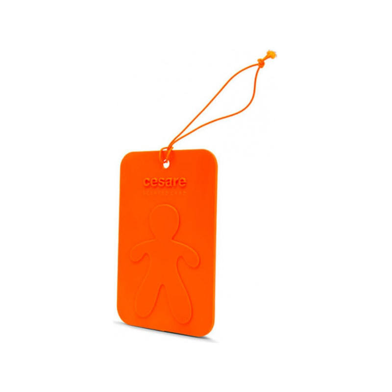 Salono kvapas ENERGY ORANGE