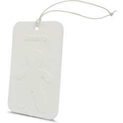 Salono kvapas CESARE Card Fresh Air