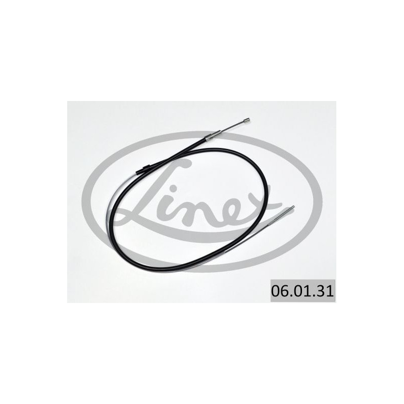 06.01.31
