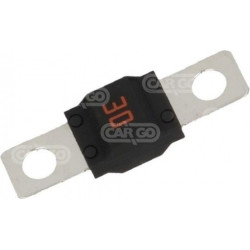 Saugiklis 32V 30A