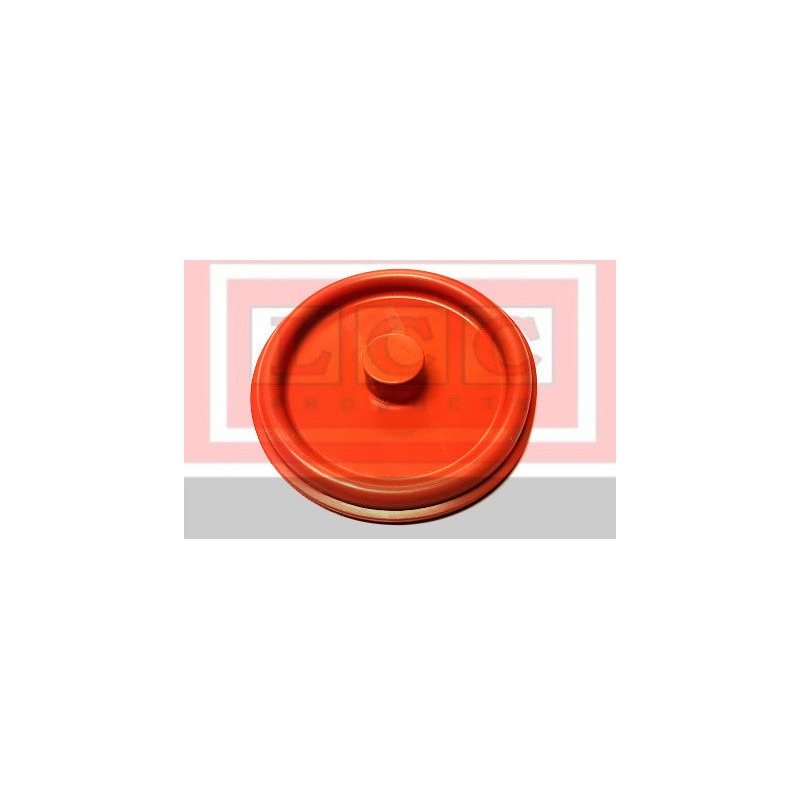 Membrana 