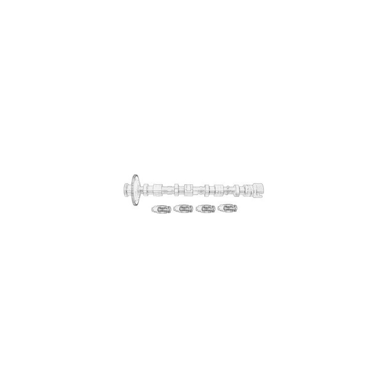 225411-RUV