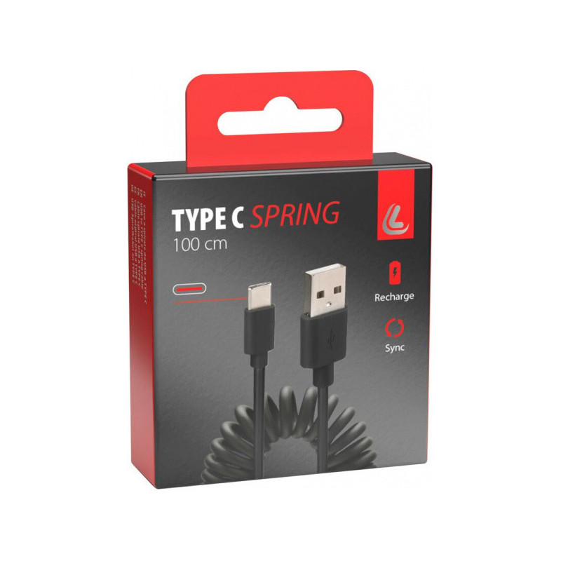 Laidas USB/USB Type C