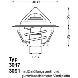 3017.87D50-WAHLER