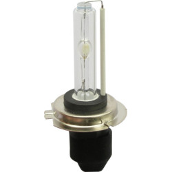 HID H7 6000K